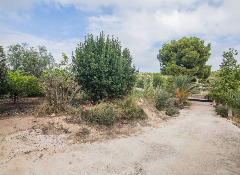 Resale - House with land - Elche Pedanías - Vallongas