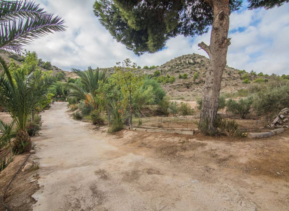 Resale - House with land - Elche Pedanías - Vallongas