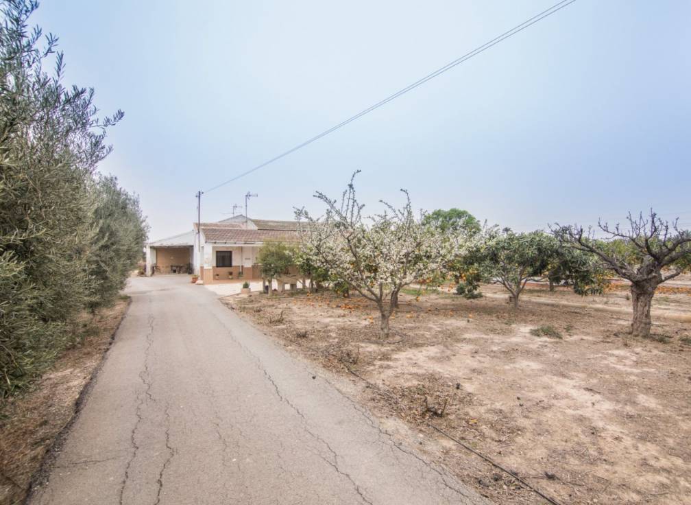 Resale - House with land - Elche