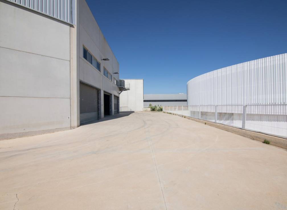 Revente - Bâtiment industriel - Torrellano - Parque Empresarial