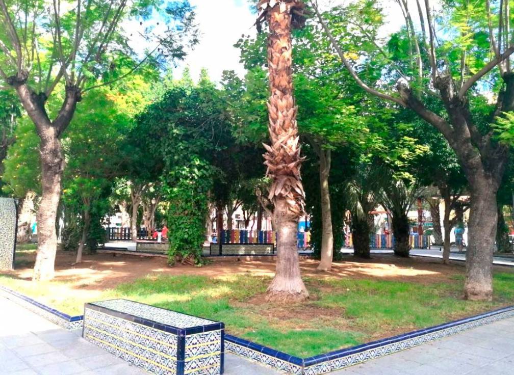 Segunda mano - Piso - Elche - Plaza Madrid