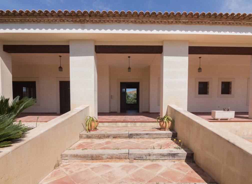 Alquiler - Chalet - Elche