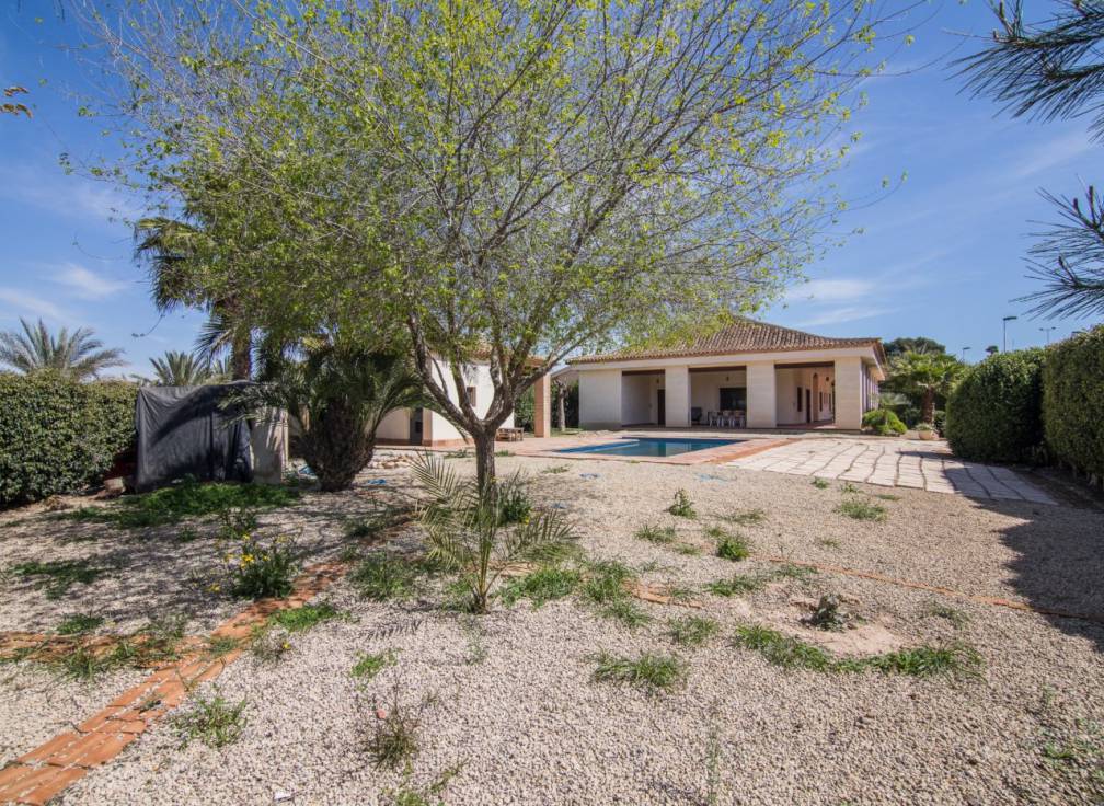 Alquiler - Chalet - Elche