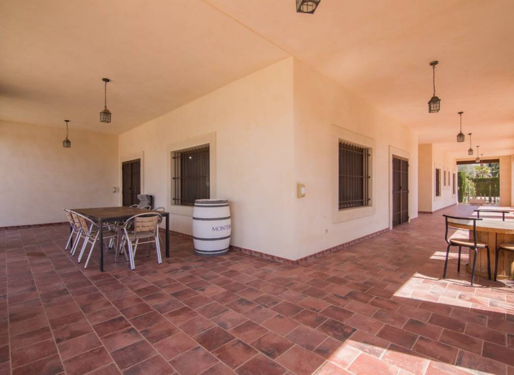 Alquiler - Chalet - Elche