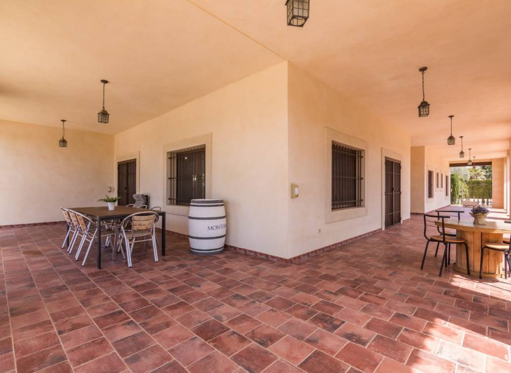 Alquiler - Chalet - Elche