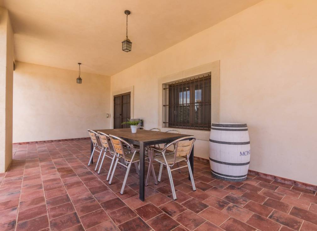 Alquiler - Chalet - Elche