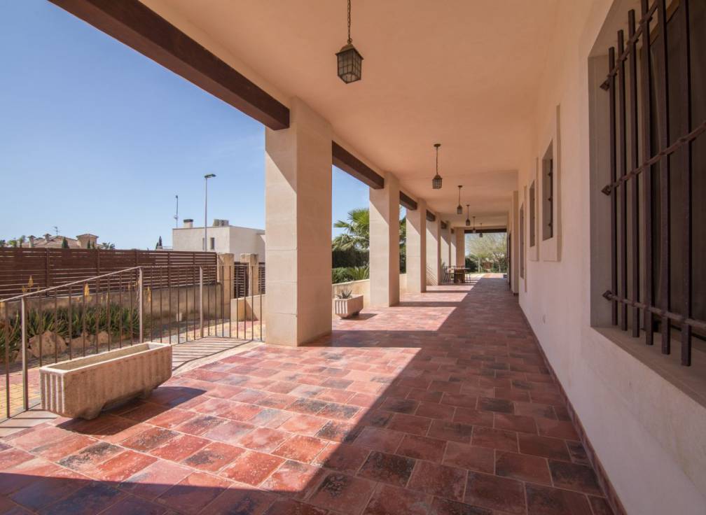 Alquiler - Chalet - Elche