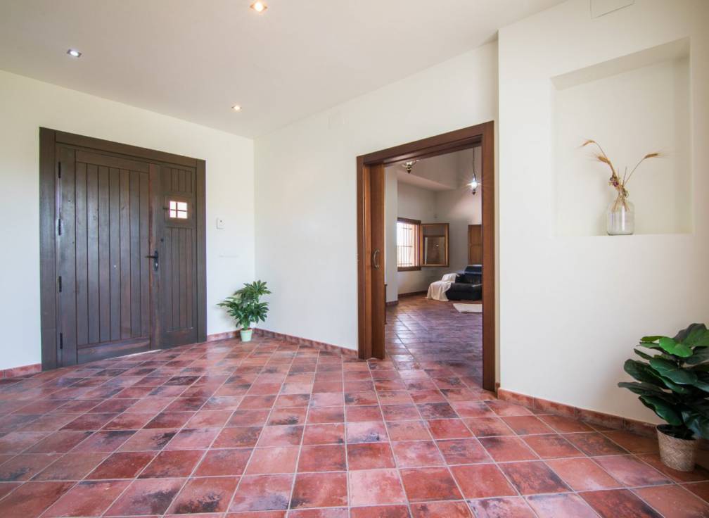 Alquiler - Chalet - Elche