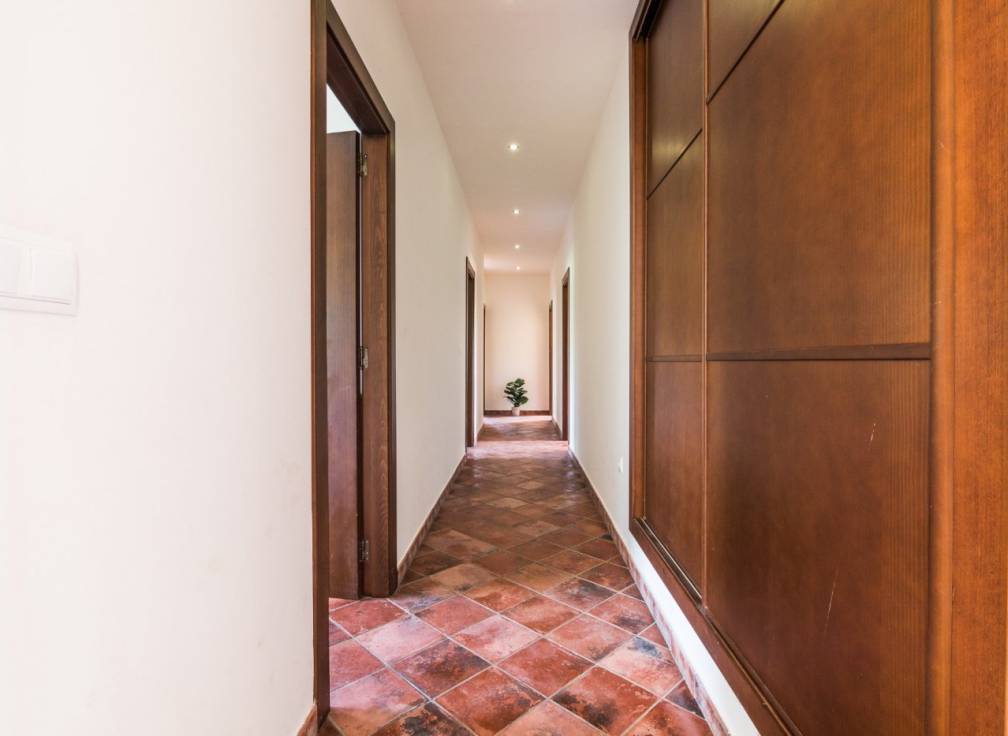 Alquiler - Chalet - Elche