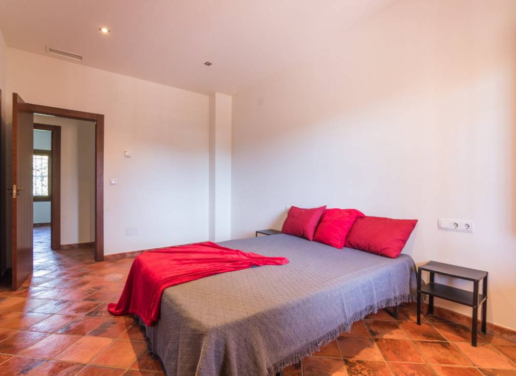 Alquiler - Chalet - Elche