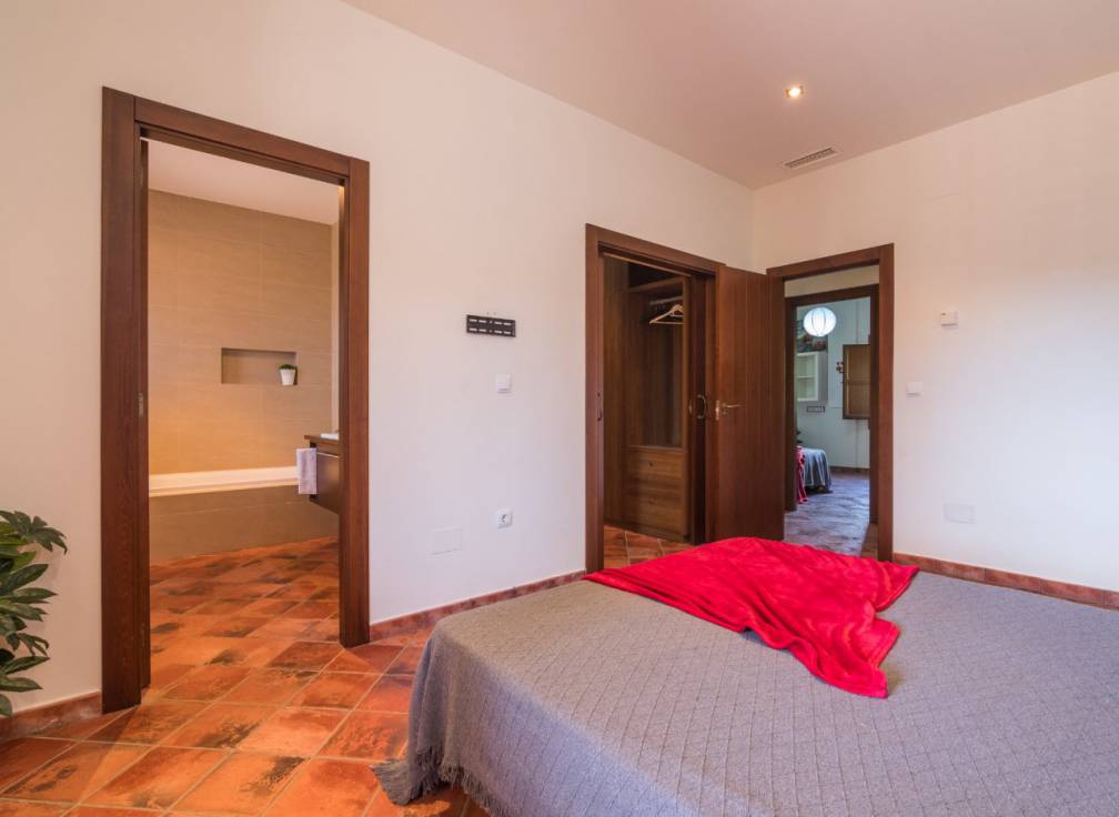 Alquiler - Chalet - Elche