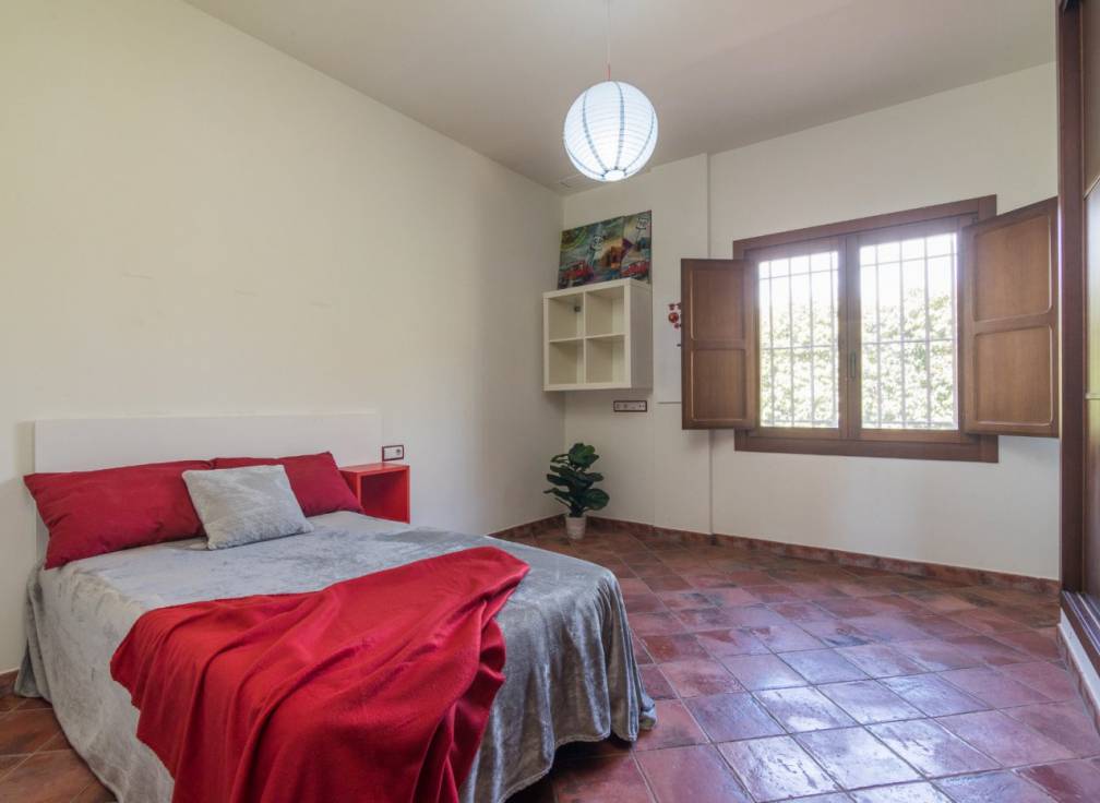 Alquiler - Chalet - Elche