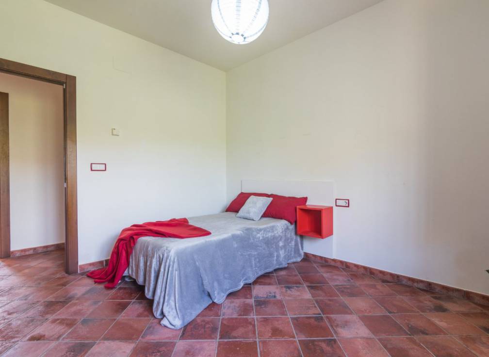 Alquiler - Chalet - Elche