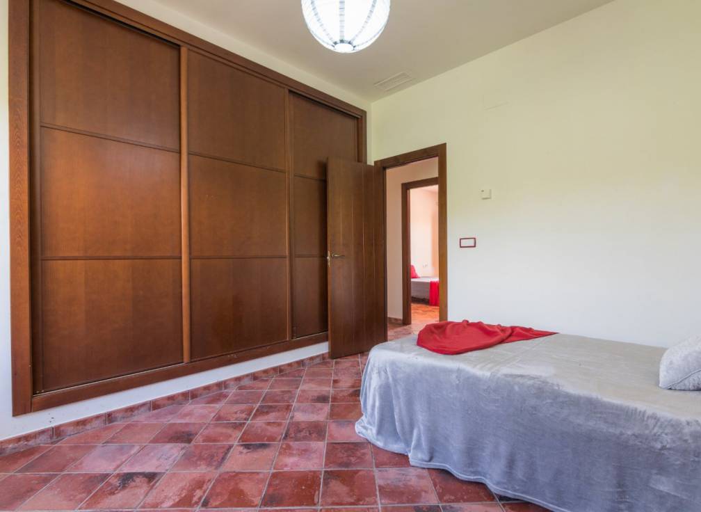 Alquiler - Chalet - Elche