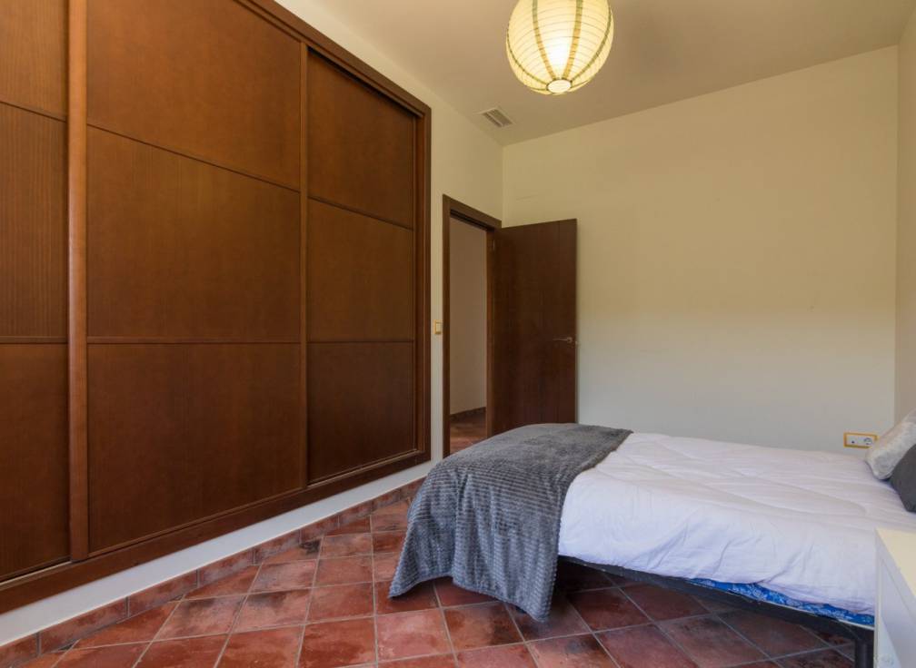 Alquiler - Chalet - Elche