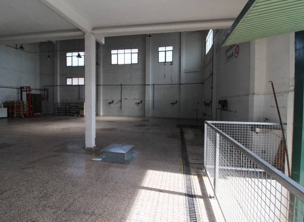 Alquiler - Nave industrial - Elche - San Crispín