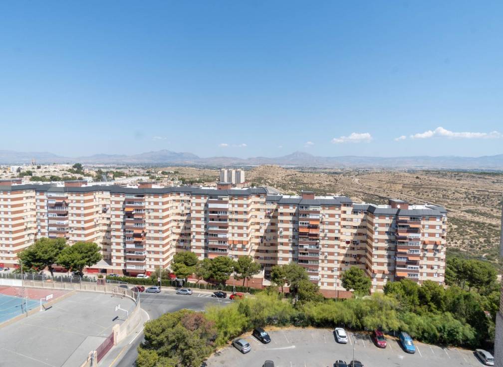 Alquiler - Piso - Alicante - Alto garbinet
