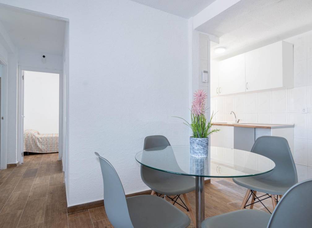 Alquiler - Piso - Alicante - Alto garbinet