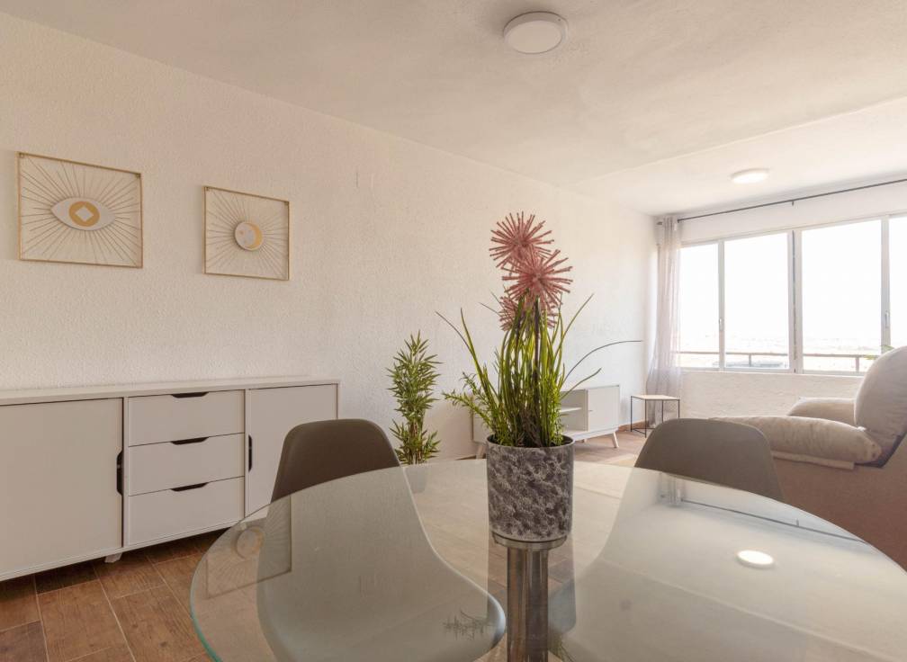 Alquiler - Piso - Alicante - Alto garbinet