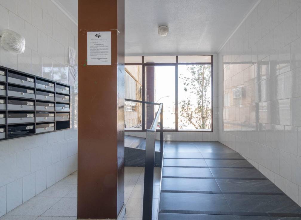 Alquiler - Piso - Alicante - Alto garbinet