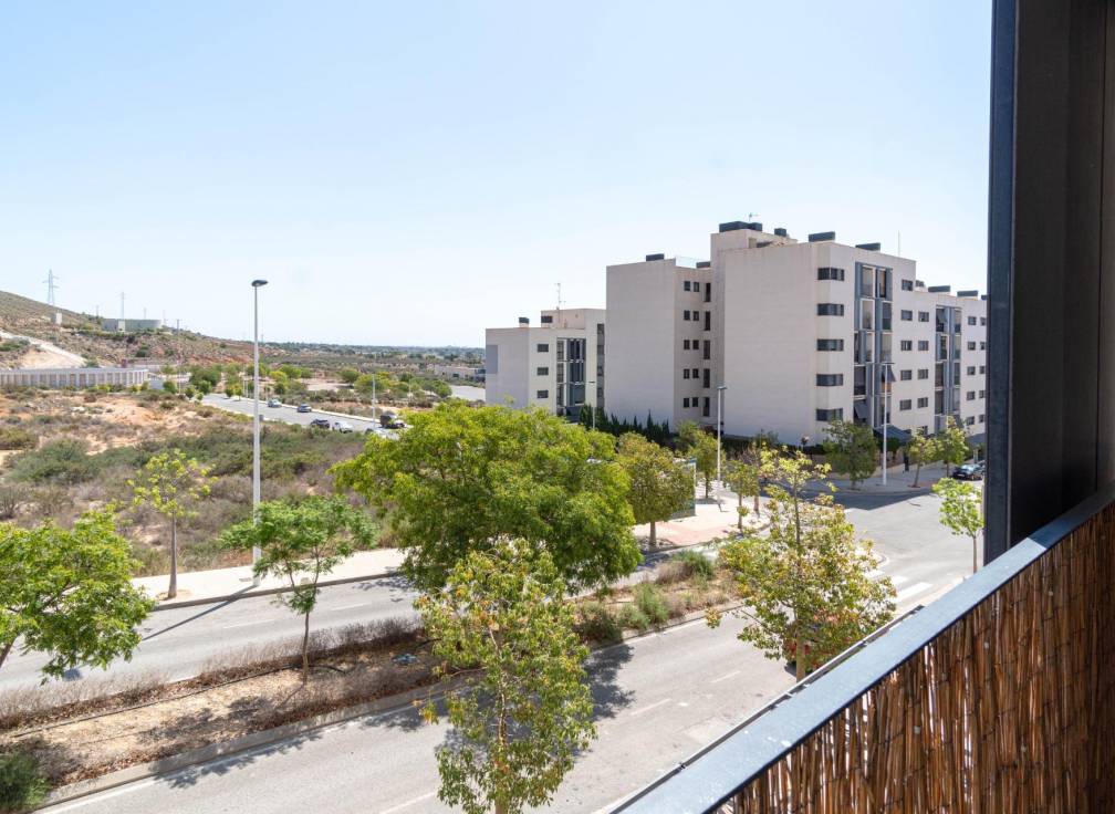 Alquiler - Piso - Crevillent - EL PINAR