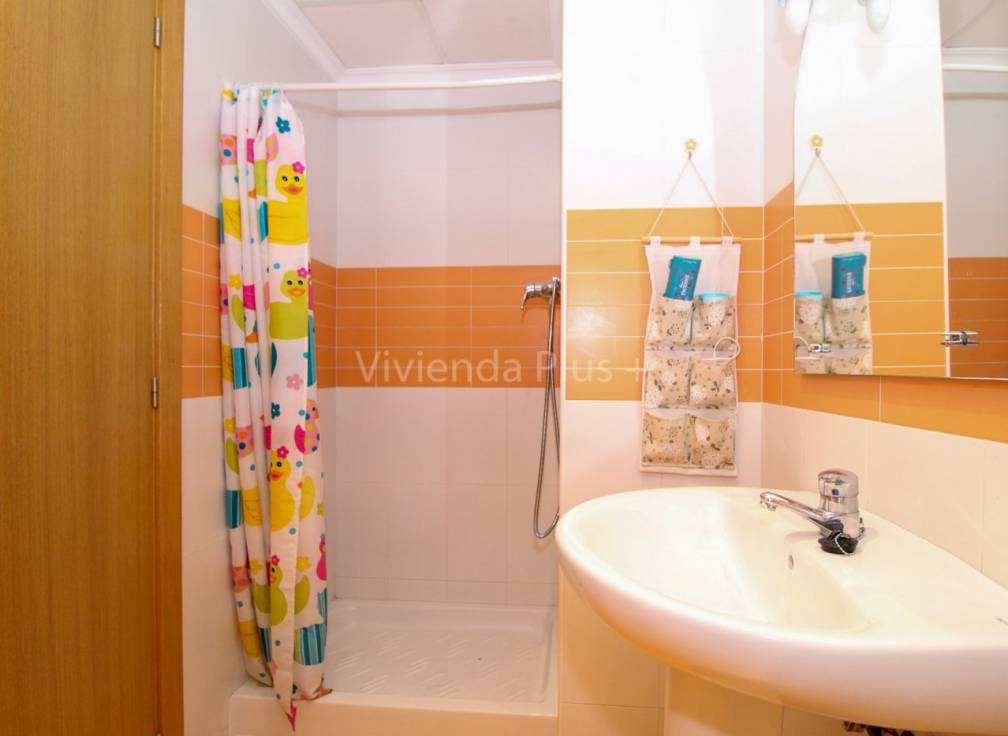 Alquiler - Piso - Elche - Carrus