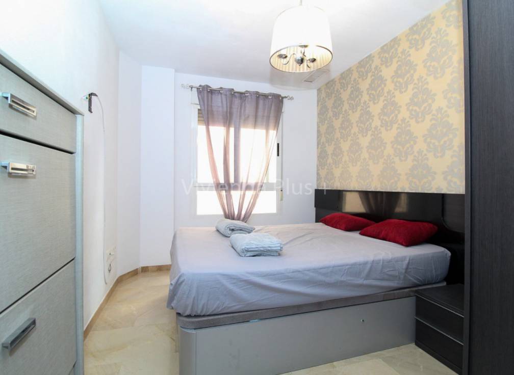 Alquiler - Piso - Elche - Carrus