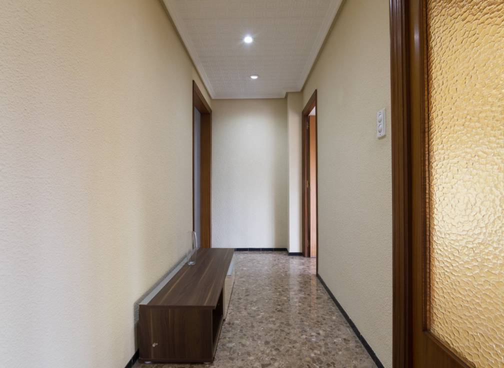 Alquiler - Piso - Elche - Centro