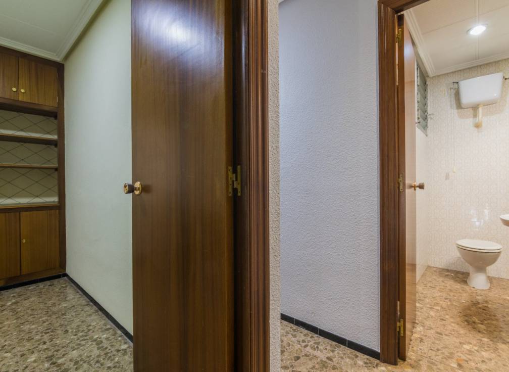 Alquiler - Piso - Elche - Centro