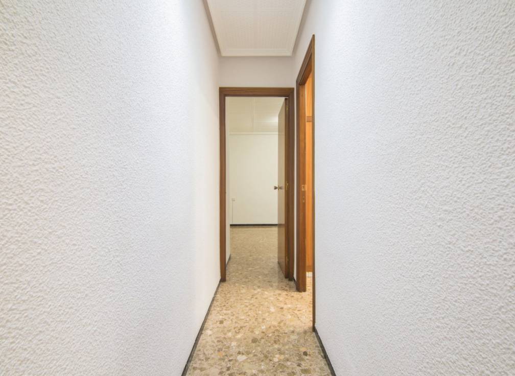 Alquiler - Piso - Elche - Centro