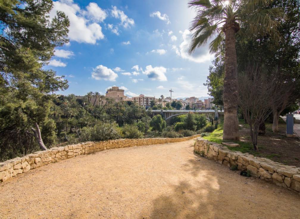 Alquiler - Piso - Elche - Centro