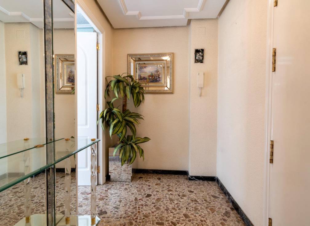 Alquiler - Piso - Elche - Centro