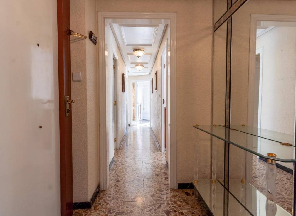 Alquiler - Piso - Elche - Centro