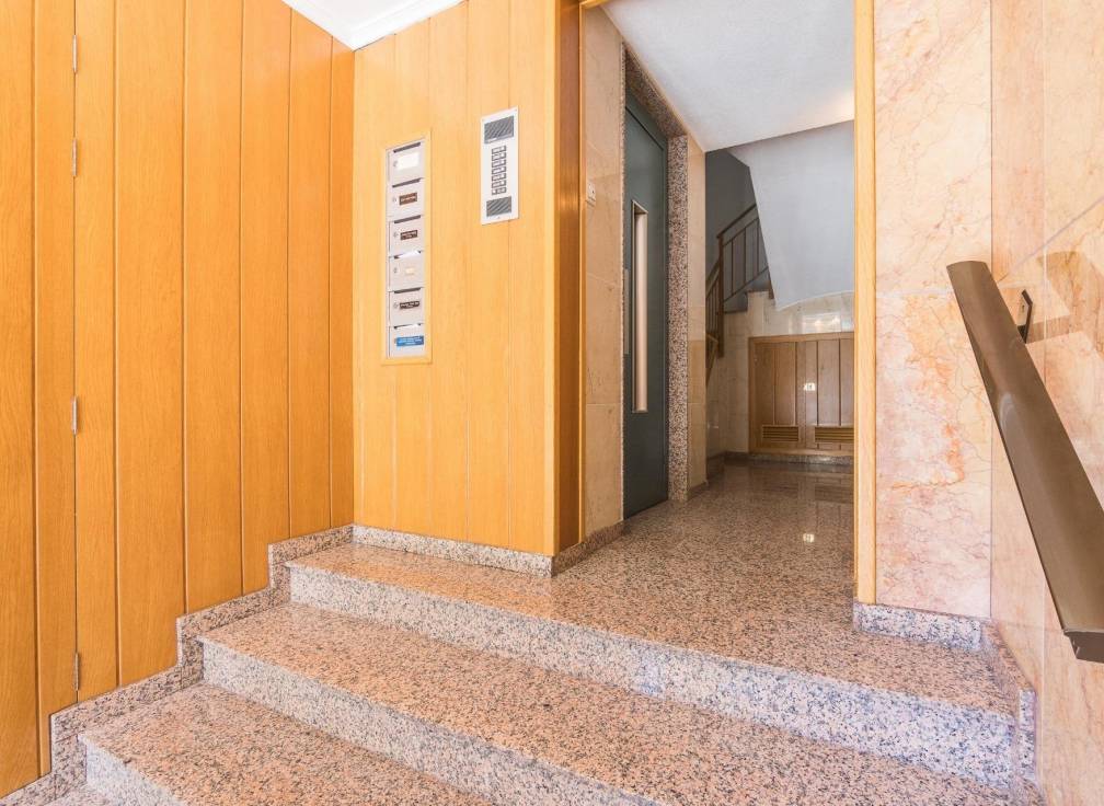 Alquiler - Piso - Elche - Centro