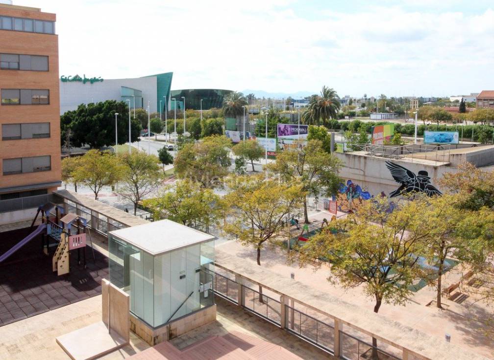 Alquiler - Piso - Elche - Corte Ingles