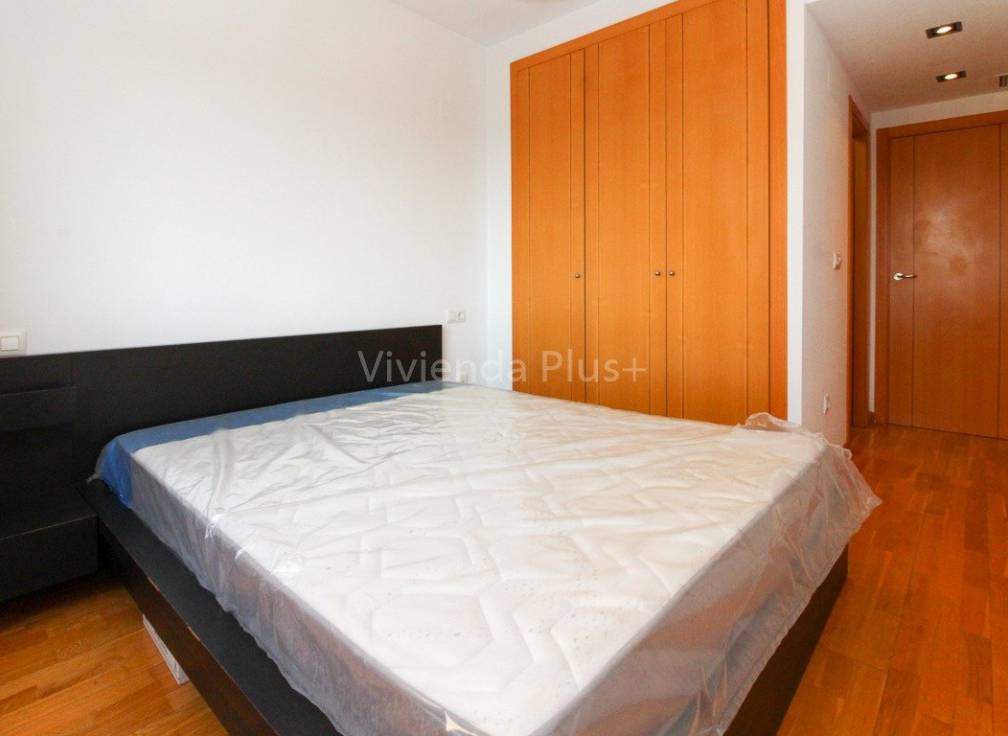 Alquiler - Piso - Elche - Corte Ingles