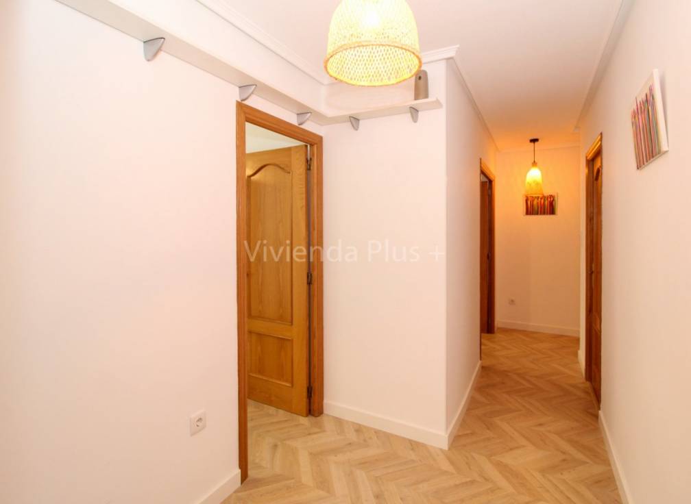 Alquiler - Piso - Elche - Plaza Crevillente-Juzgados