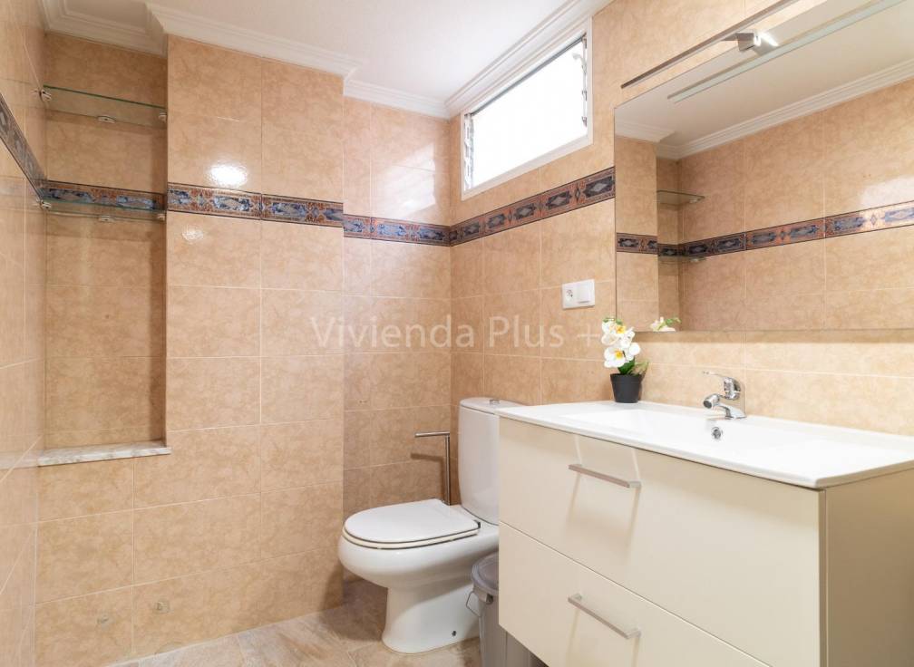 Alquiler - Piso - Elche - Plaza Crevillente