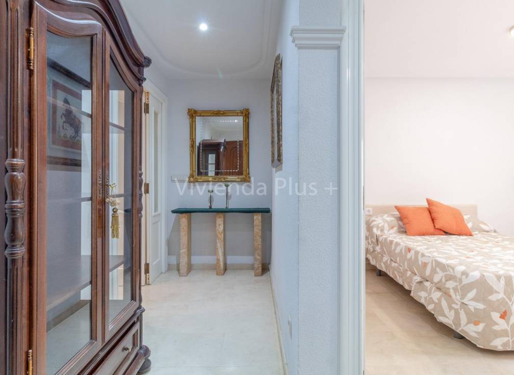 Alquiler - Piso - Elche - Plaza Crevillente