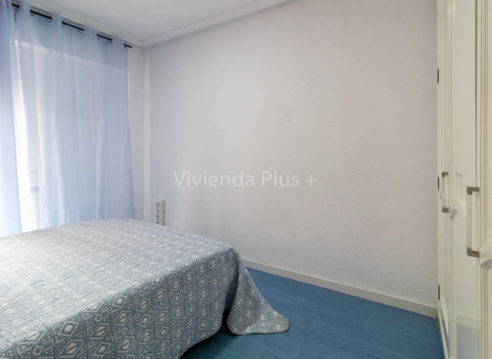 Alquiler - Piso - Elche - Plaza Crevillente