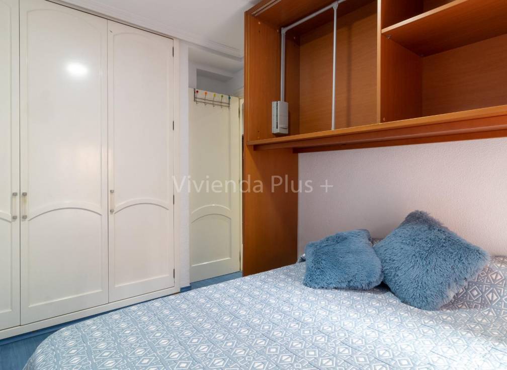 Alquiler - Piso - Elche - Plaza Crevillente