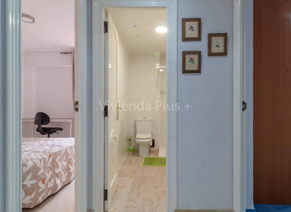 Alquiler - Piso - Elche - Plaza Crevillente