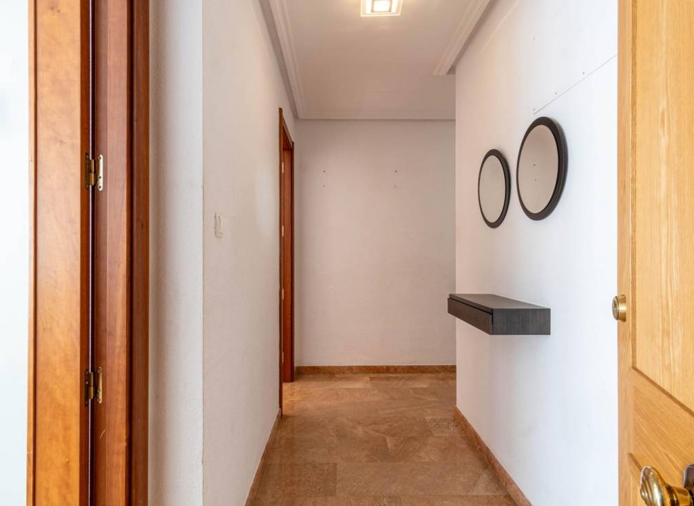 Alquiler - Piso - Elche - Plaza Obispo Siuri