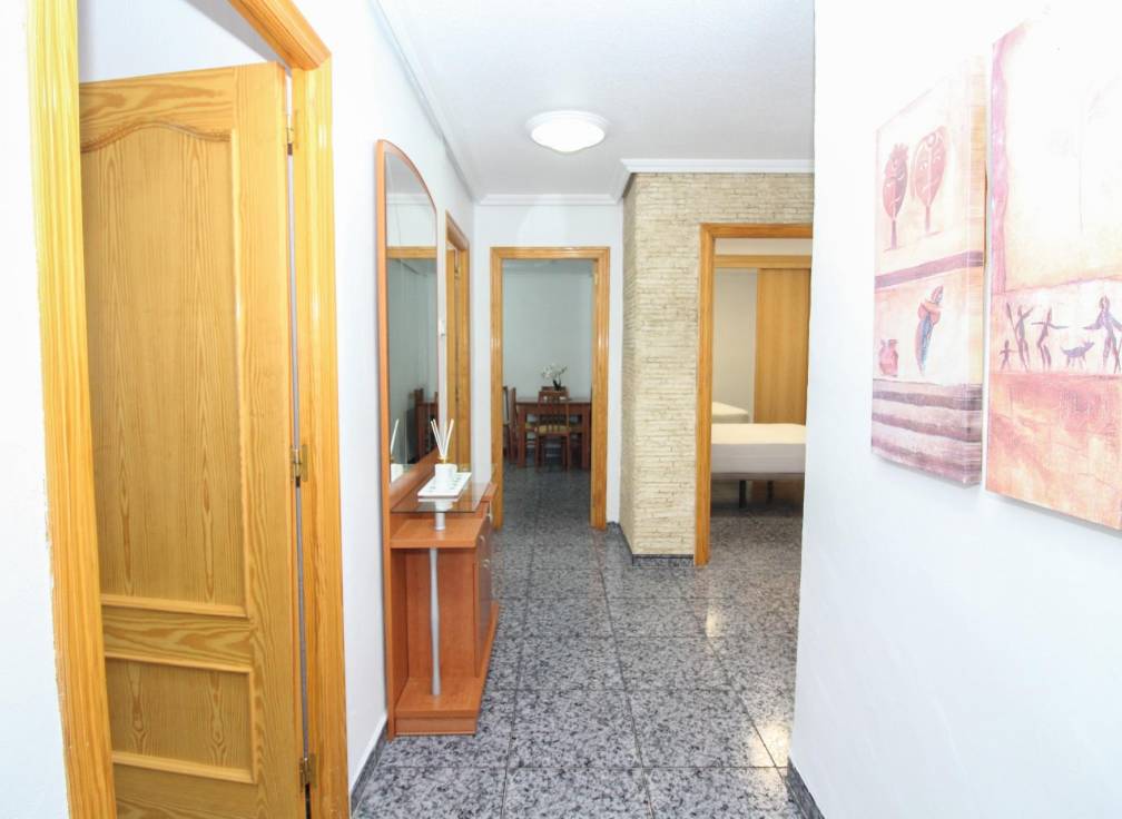 Alquiler - Piso - Elche - San Crispín
