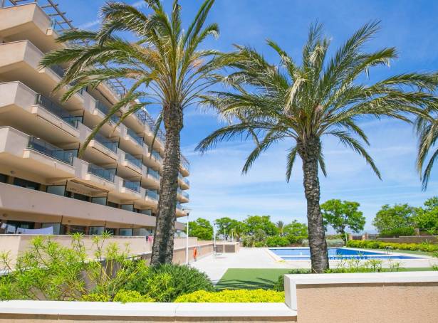 Apartment - Resale - Arenales del Sol - Calle valladolid