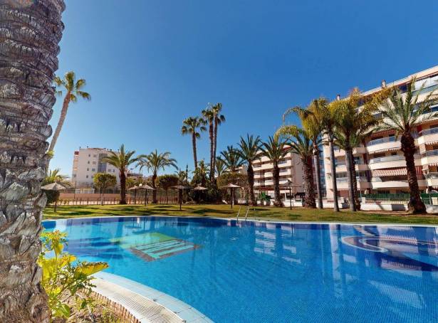 Appartement - Revente - Arenales del Sol - Arenales del Sol