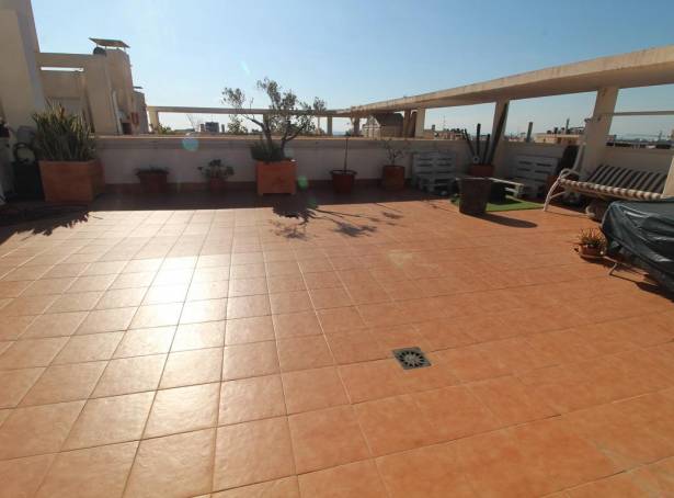 Atico - Alquiler - Elche - Altabix