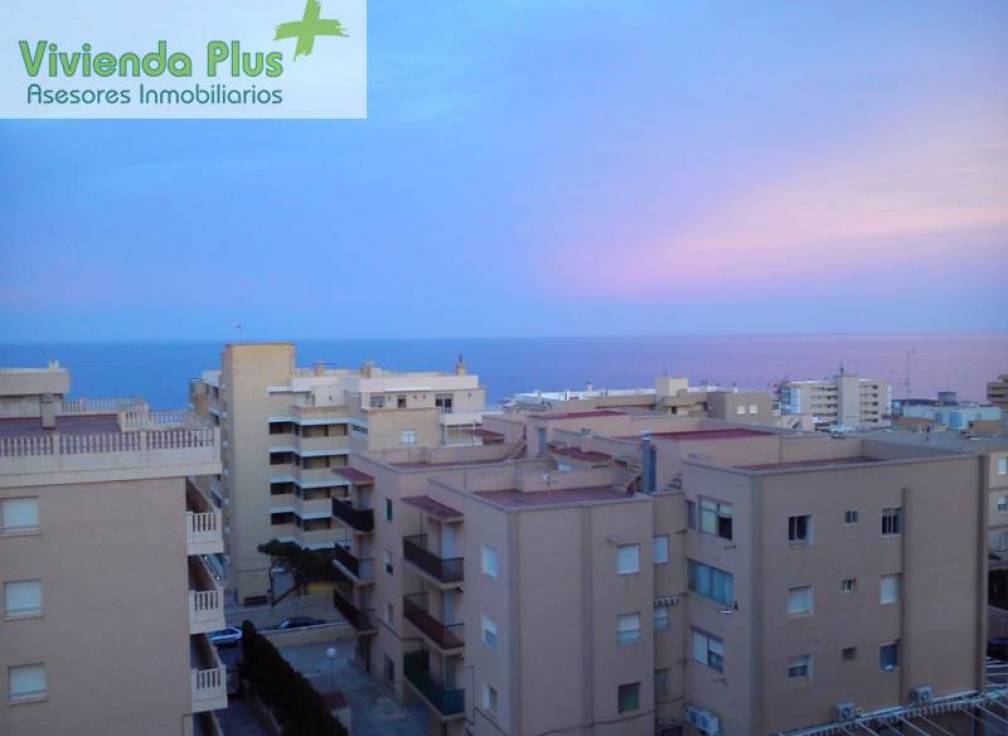 Location à long terme - Appartement - Arenales del Sol - Segunda linea playa