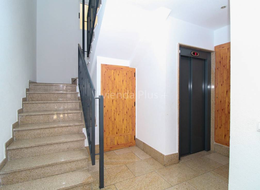 Location à long terme - Appartement - Elche - Carrus