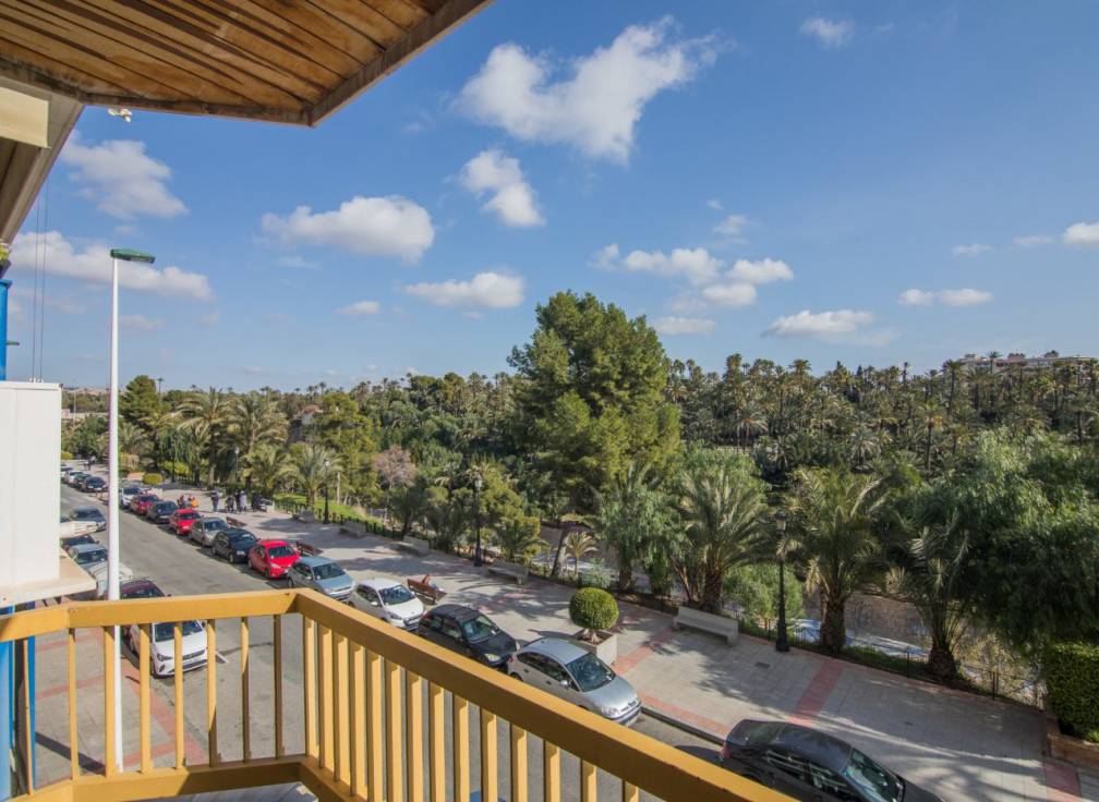 Location à long terme - Appartement - Elche - Centro